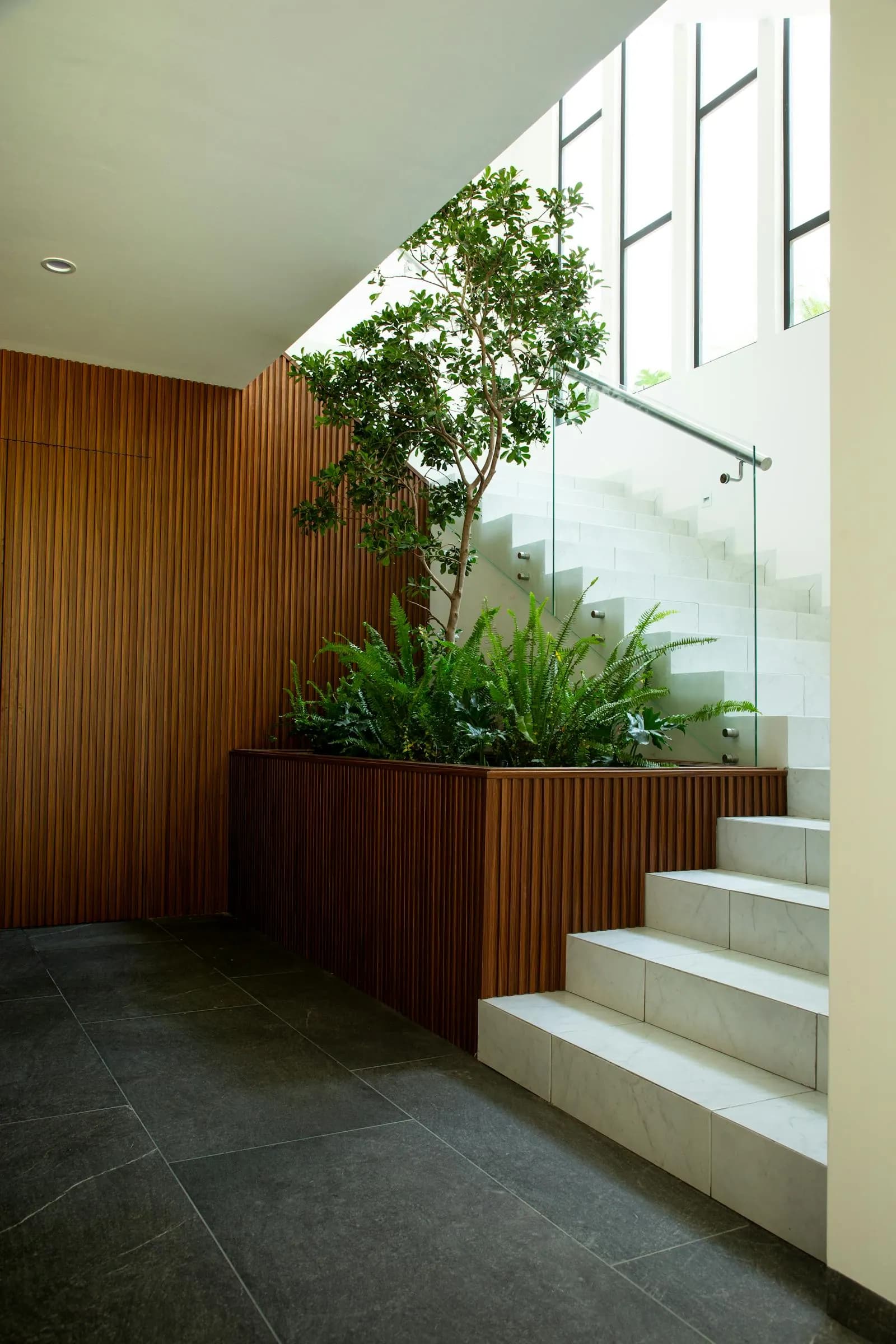 Central courtyard with tree